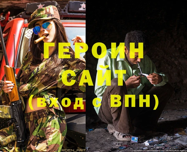 индика Арсеньев