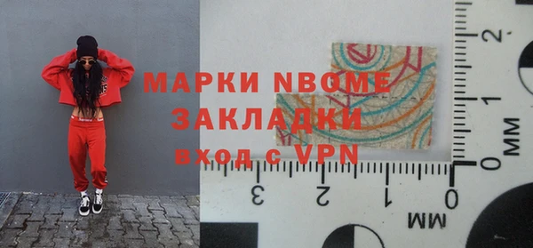 индика Арсеньев