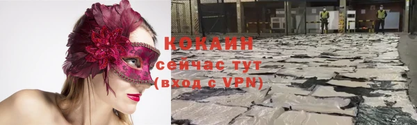индика Арсеньев