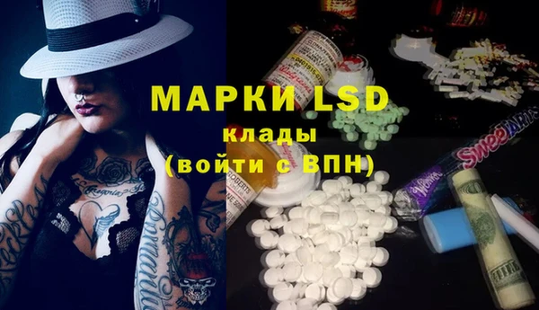 индика Арсеньев