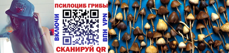 KRAKEN как войти  Семикаракорск  Галлюциногенные грибы Cubensis 