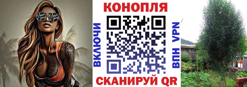 Конопля конопля  как найти закладки  Семикаракорск 